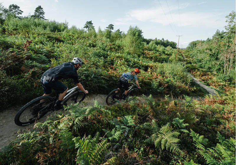 Whyte 529 Mountain Bike 2024 Matt Olive/Matt Black -4