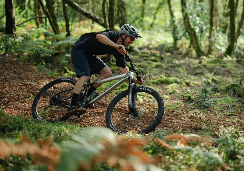 Whyte 629 Mountain Bike 2024 Gloss Silver/Gloss Black-4