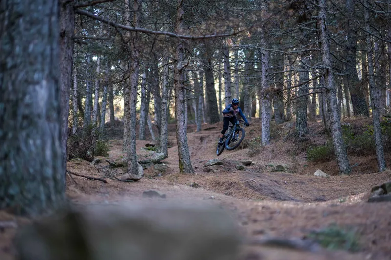 Specialized Levo Comp Alloy Electric Mountain Bike 2022 Green/Grey-2