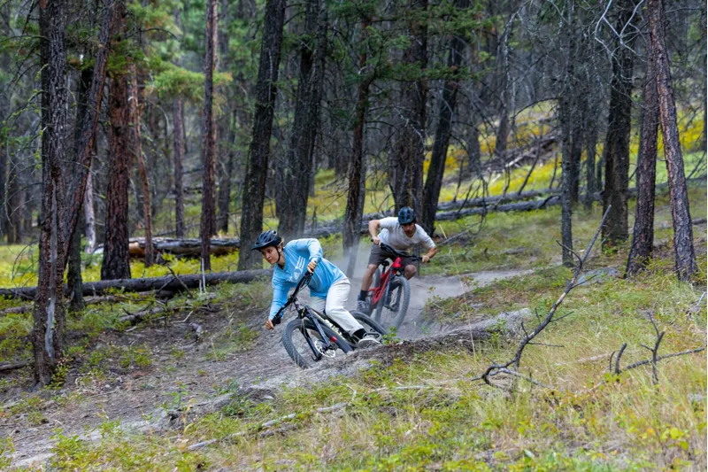  Santa Cruz 5010 C R Mx Mountain Bike 2023 Matte Nickel -4