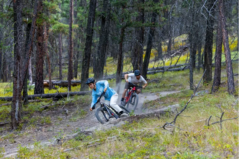  Santa Cruz  5010 C GX AXS Mx Mountain Bike 2023 Matte Nickel -4