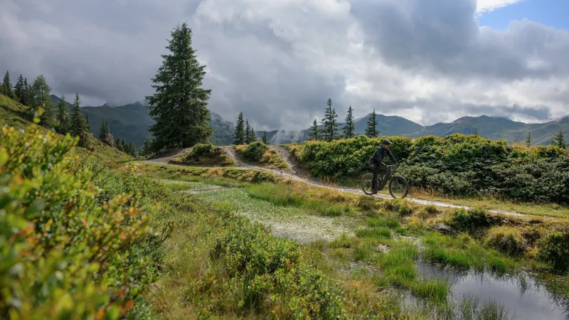 Cube Stereo Hybrid One44 SLX 800 Electric Bike 2026 Nebula/White-1