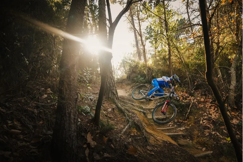 Mondraker Summum RR Mullet Downhill Bike Frameset 2026 Blue/Black/Silver-2