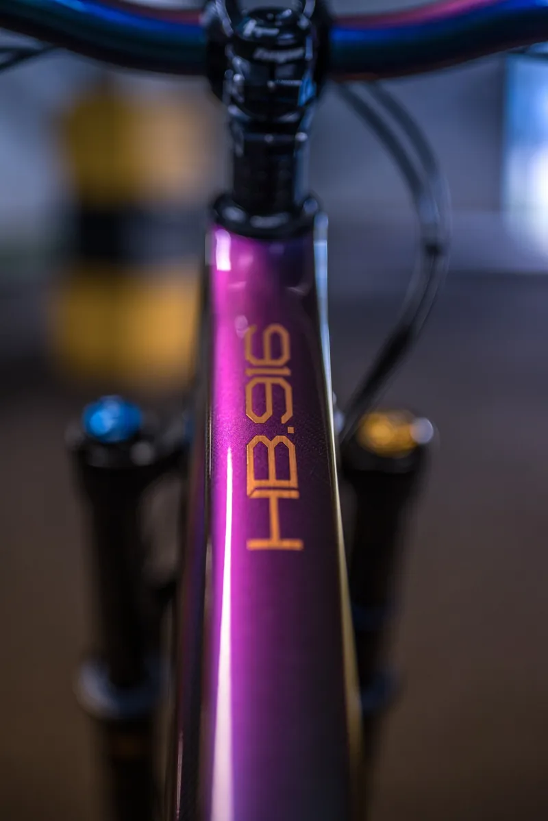 Hope HB916 XX1 AXS Custom H2 Mountain Bike 2023 Chameleon-6