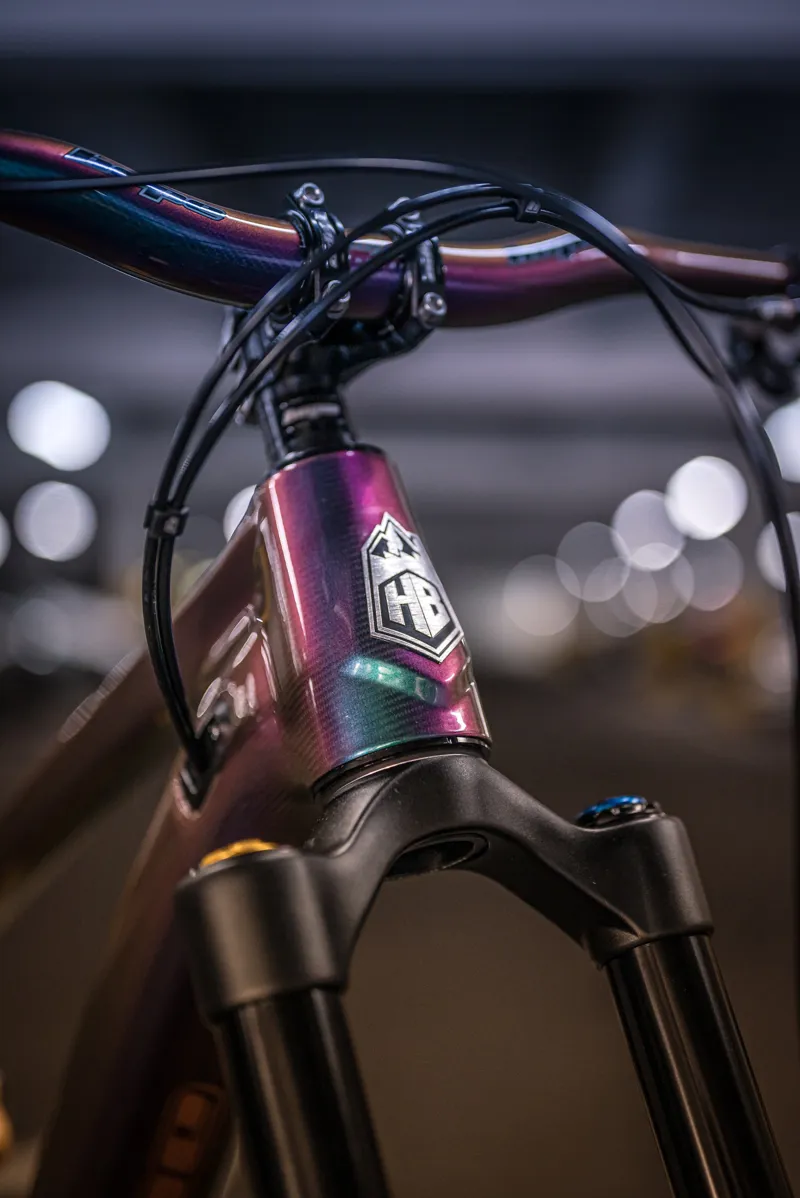 Hope HB916 XX1 AXS Custom H2 Mountain Bike 2023 Chameleon-2