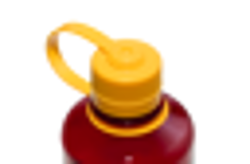 Nalgene Narrow Mouth Sustain Tritan Bottle Colour Block Laker-4