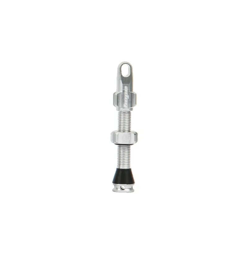 Hope Tubeless Valve Single Core Silver