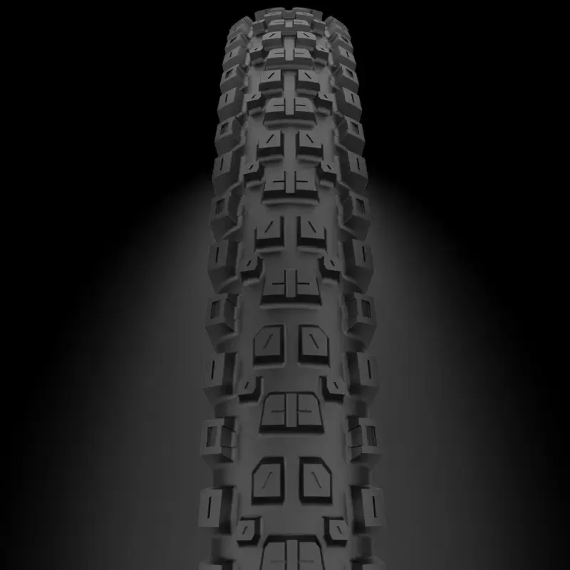 Cast Protagonist SmartEVO DH Compound 29x2.40 Folding Tyre Black-3