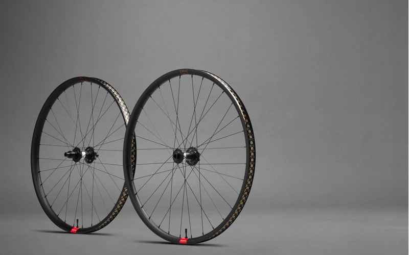 Reserve 30 SL AL 6069 Boost 110x148mm DT350 DEG DF 6-Bolt XD 28H 29er WheelSet Black