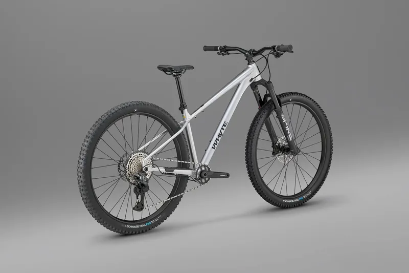 Whyte Secta RSX Hardtail Mountain Bike 2027 Gloss Raw Silver-3