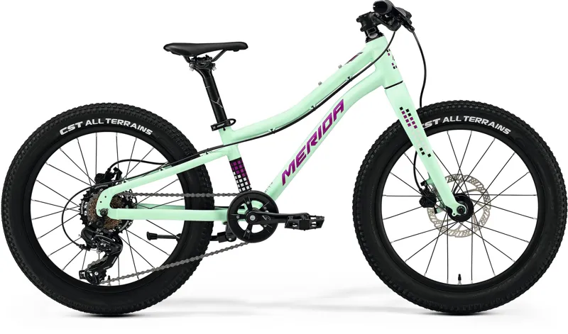 Merida Matts J.20+ Kids Bike 2025 Matt Mint/Purple/White