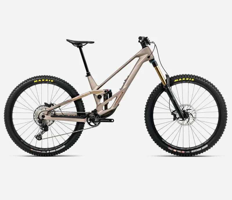 Orbea Rallon E10 Mountain Bike 2026 Nickel/Nickel Chrome