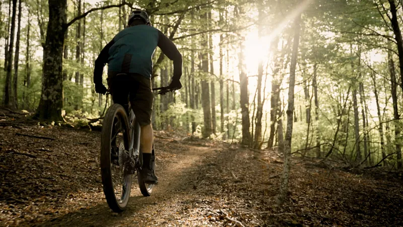 Orbea Urrun 20 Electric Bike 2026 Magnetic Bronze/Silver-1