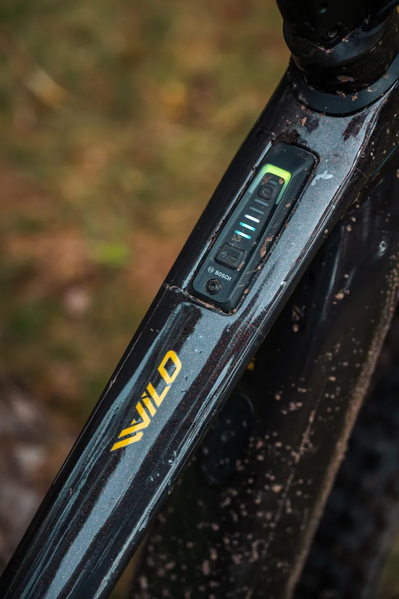 Orbea Wild M10 Electric Bike 2024 Carbon Raw/Titanium-2