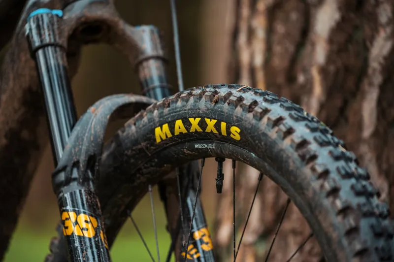 Orbea Wild M10 Electric Bike 2024 Carbon Raw/Titanium-5