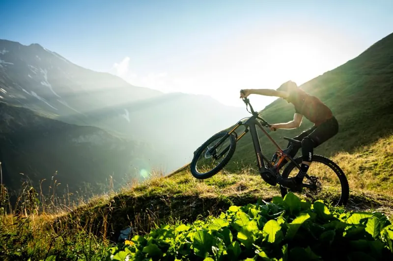 Orbea Wild M-Ltd Electric Bike 2026 Seaweed Carbon View Matt-3