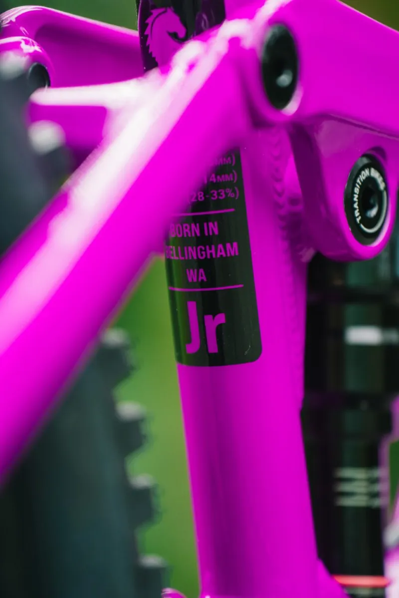 Transition Ripcord Kids Bike 2025 Raw Alloy-6