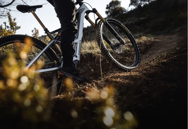 Orbea Rise LT M10 630Wh Electric Bike 2026 Desert Rose/Carbon Raw-4