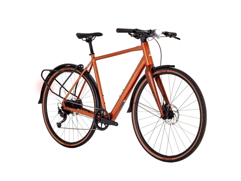Raleigh Trace Electric Bike 2022 Copper-1