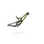 Santa Cruz V10 Downhill Frame Set 2026 Green