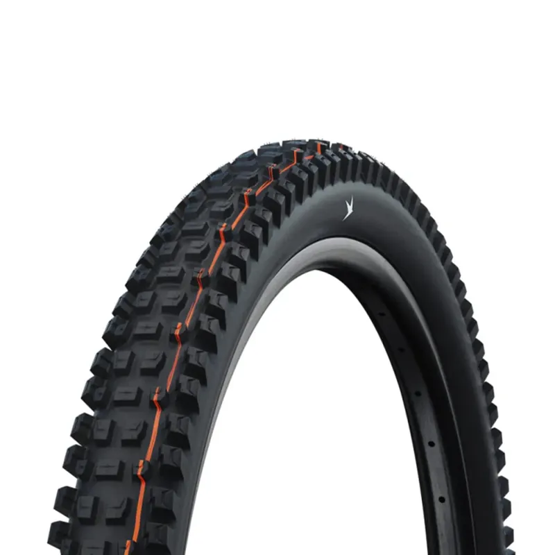 Schwalbe Albert Gravity Pro 29 Tyre Black 29x2