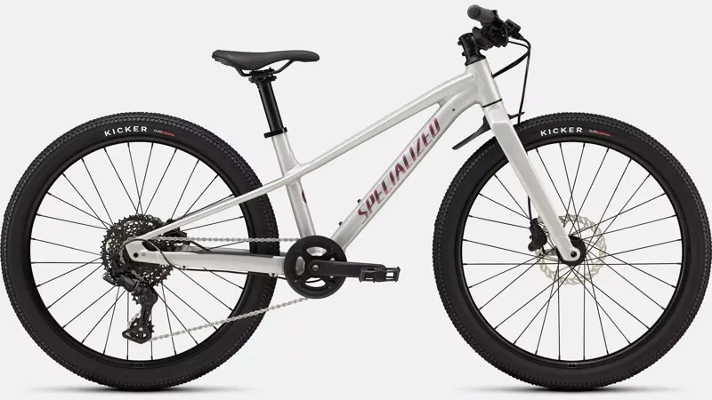 Specialized RipRock 24in Kids Bike 2026 Gloss Dolomite Metallic