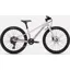 Specialized RipRock 24in Kids Bike 2026 Gloss Dolomite Metallic