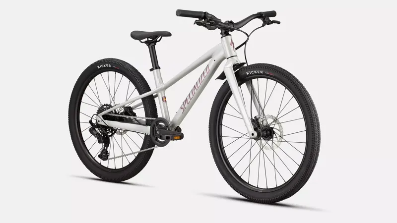 Specialized RipRock 24in Kids Bike 2026 Gloss Dolomite Metallic-1