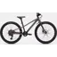 Specialized RipRock 24in Kids Bike 2026 Gloss Smoke
