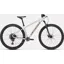 Specialized Rockhopper Expert Mountain Bike 2025 Gloss Silver Dust/Satin Burnt Gold Metallic