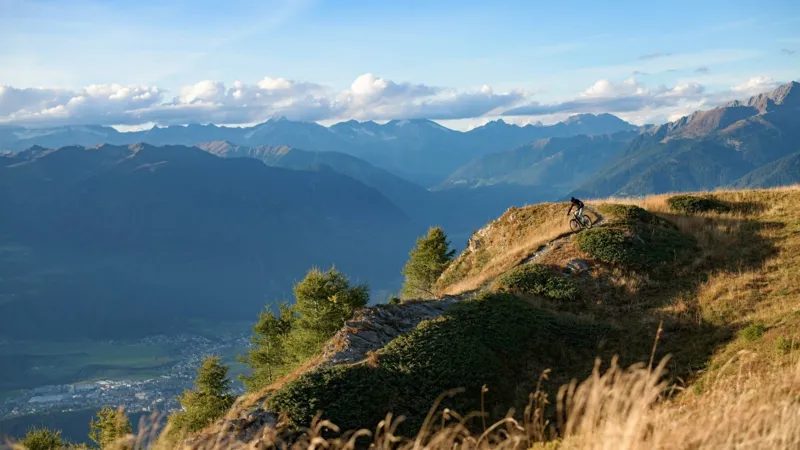 Cube Stereo Hybrid One44 HPC AT 800 Electric Bike 2025 Carbon/Gold-1