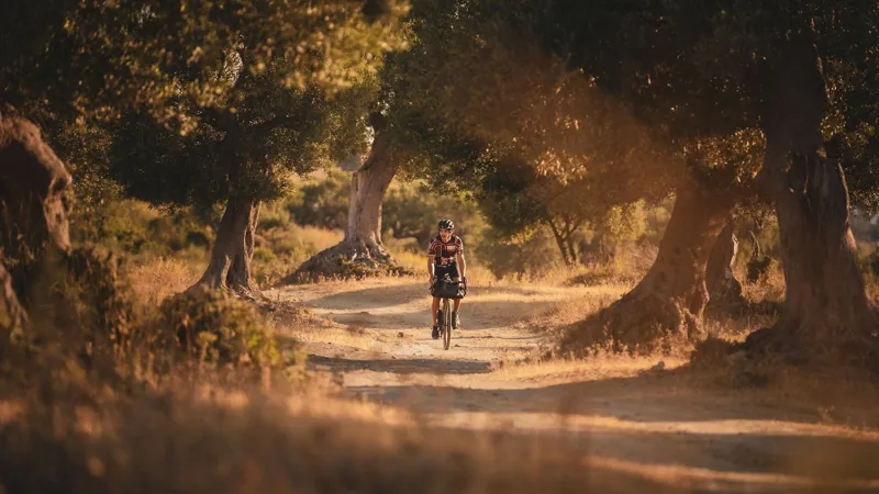 Cube Nuroad C:62 One Gravel Bike 2025 Carbon/Glossy-1