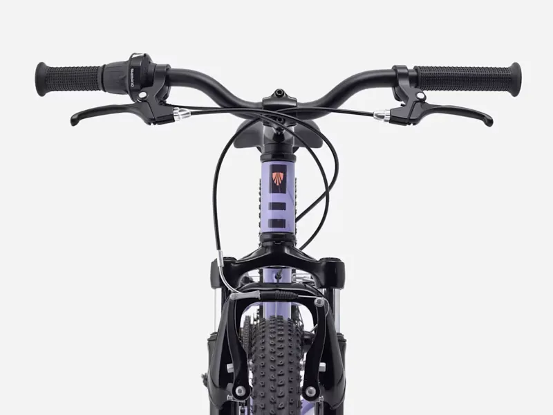 Trek Precaliber 20 7 Speed Kids Bike 2027 Lavender Haze-4