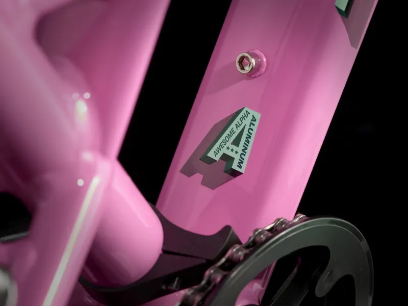 Trek Wahoo 20 Path Kids Bike 2025 Pink Frosting-3