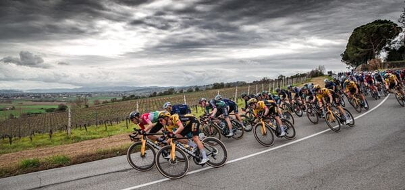 Vittoria Corsa Pro 700 Fold TLR Black Tan G2.0 Tyre-3