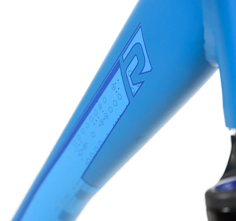 Raleigh Captus Step Through Womens Electric Bike 2016 Light Blue-4