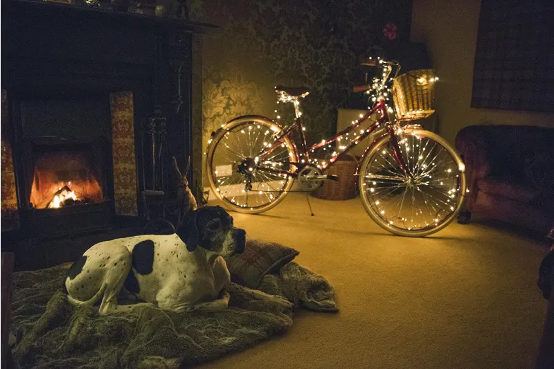 Raleigh Sherwood Classic Hybrid Bike Cherry-12