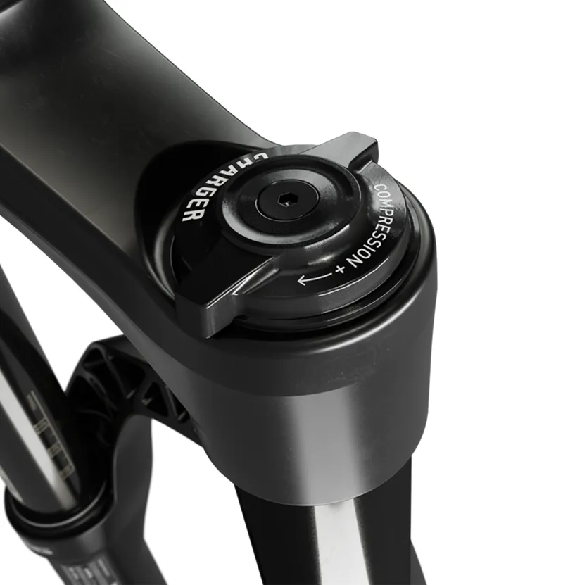 Rockshox Pike Select Charger RC Crown 29in 15x110 Boost Forks Black-5