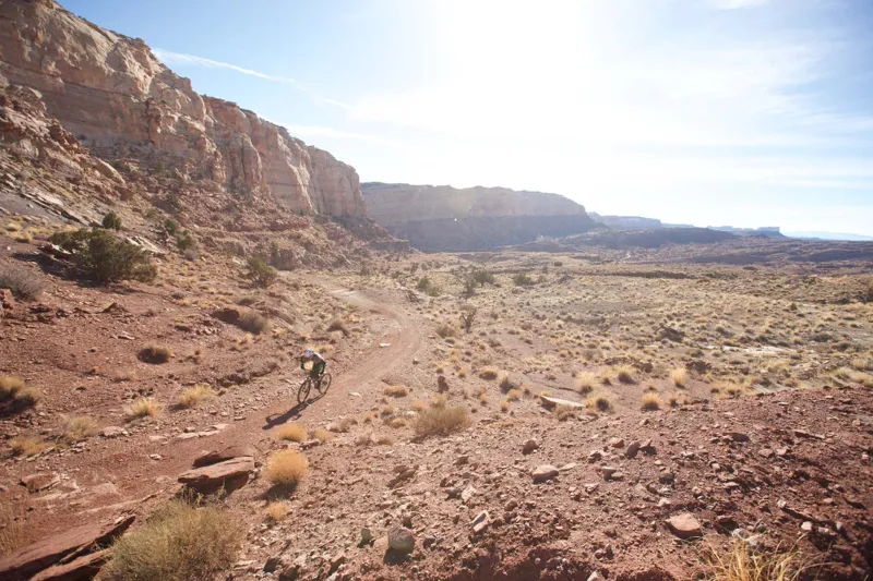 Santa Cruz Blur CC X01 Reserve 29er Mountain Bike 2019 Matte Carbon-11