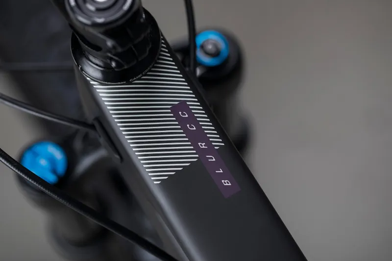 Santa Cruz Blur CC X01 Reserve 29er Mountain Bike 2019 Matte Carbon-1