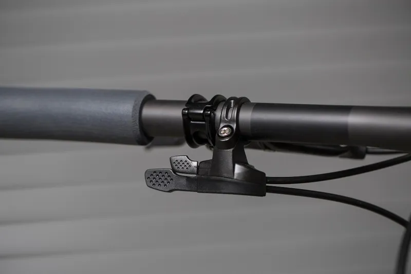 Santa Cruz Blur CC X01 Reserve 29er Mountain Bike 2019 Matte Carbon-4