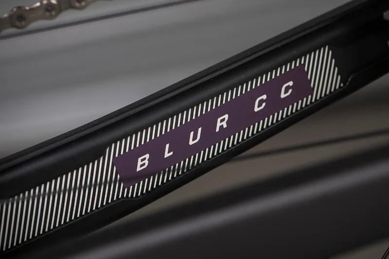 Santa Cruz Blur CC X01 Reserve 29er Mountain Bike 2019 Matte Carbon-7