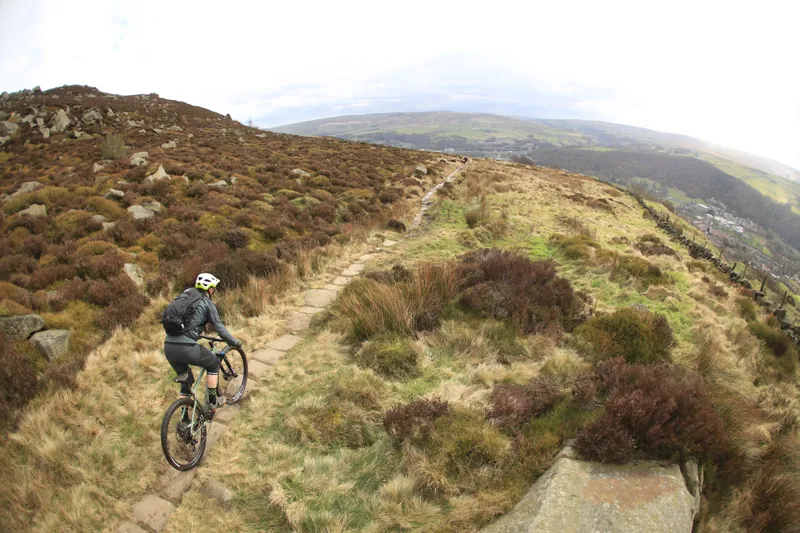 Santa Cruz Chameleon D 27.5 Plus Mountain Bike 2017 Green/Purple-5