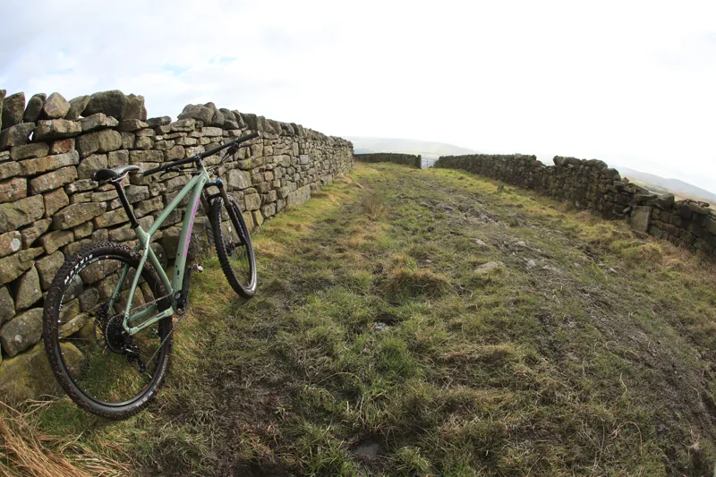 Santa Cruz Chameleon D 29er Mountain Bike 2017 Green/Purple-6