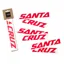 Santa Cruz Custom Downtube Decal Red