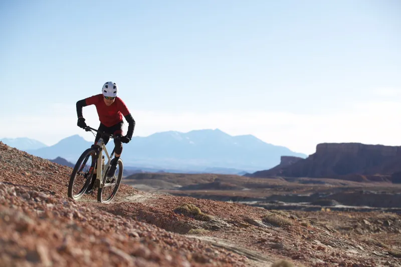 Santa Cruz Highball CC X01 29er Mountain Bike 2019 Gloss Fog-7