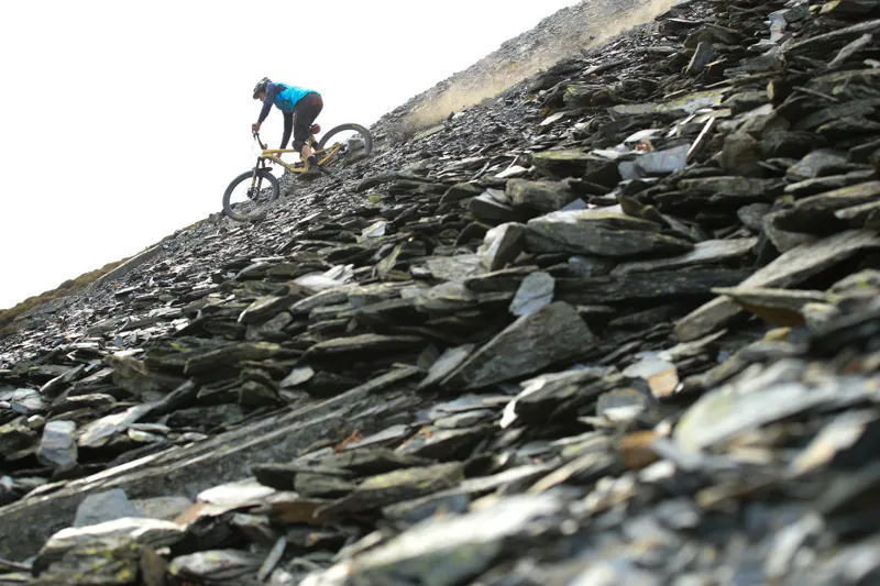 Santa Cruz Nomad Alloy S 27.5 Mountain Bike 2018 Tan/Black-4