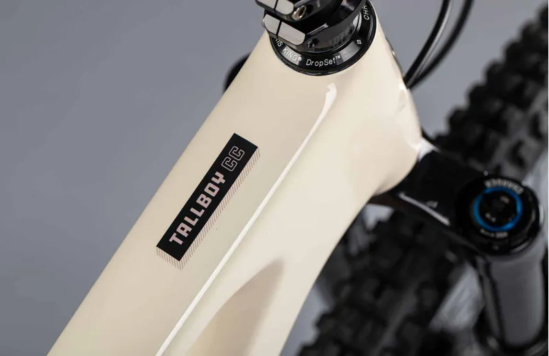 Santa Cruz Tallboy C R 29er Mountain Bike 2021 Ivory-3