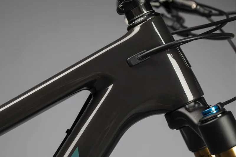 Santa Cruz Blur CC X01 Reserve 29er Mountain Bike 2021 Gloss Carbon-1