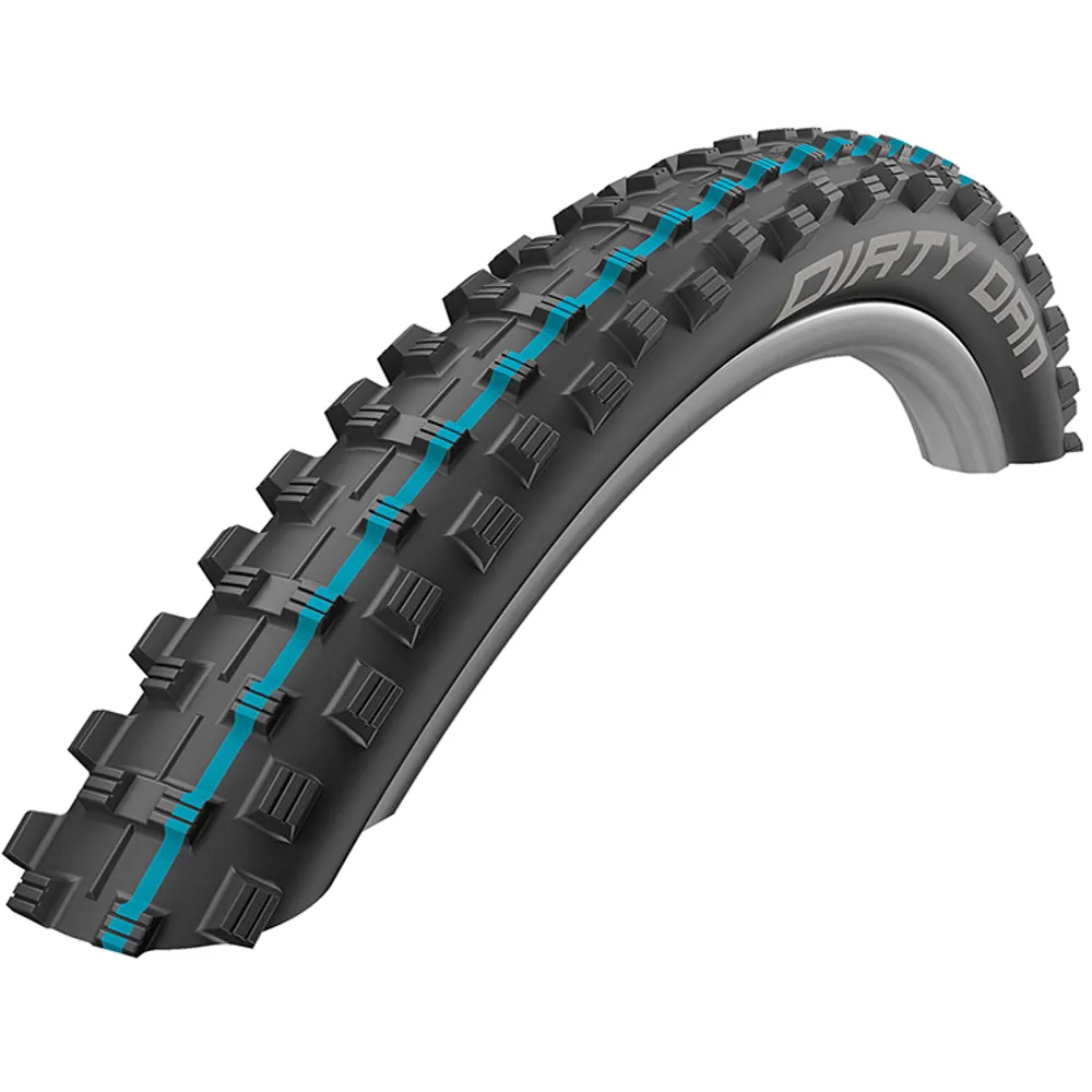 Schwalbe Schwalbe Dirty Dan 29 inch Folding/ADDIX/LS Tyre